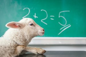 Nina-Binvel-Blog-Warum